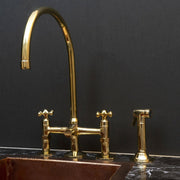 AuraPure Kitchen faucet