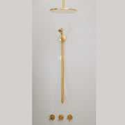 Brass Shower Fixtures - Dual Shower Head (Ceiling mount shower head/Handheld shower)