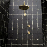 Unlacquered Brass Solid Brass Shower Head With Curved Arm