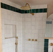 Unlacquered Brass Shower System